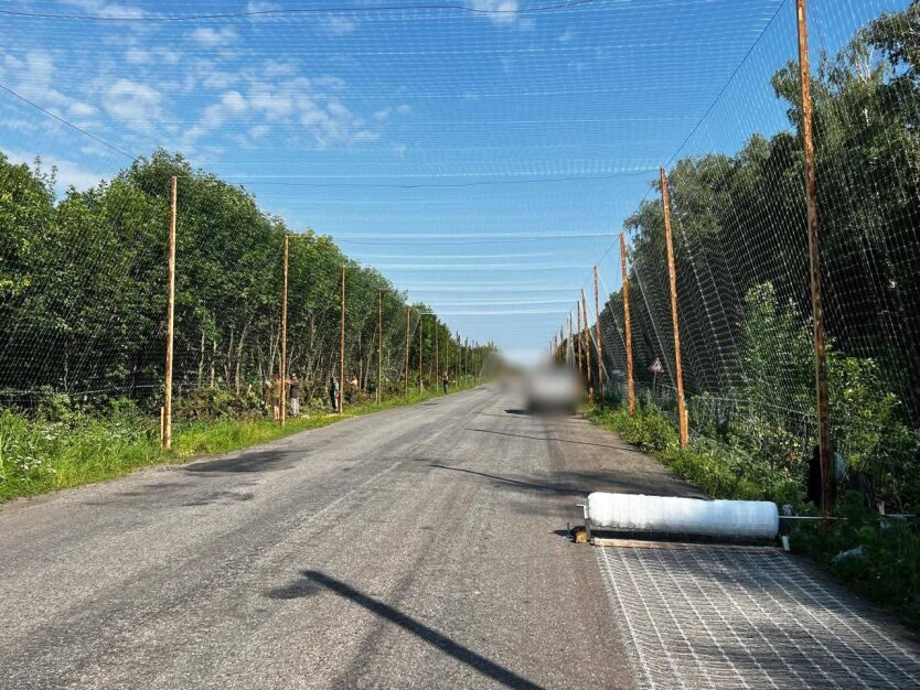Росіяни на Покровському напрямку знищують логістику дронами: як українці протидіють