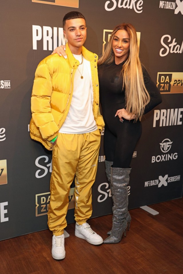 Peter Andre's Son Moves Closer to Katie Price: Details of the Family Situation