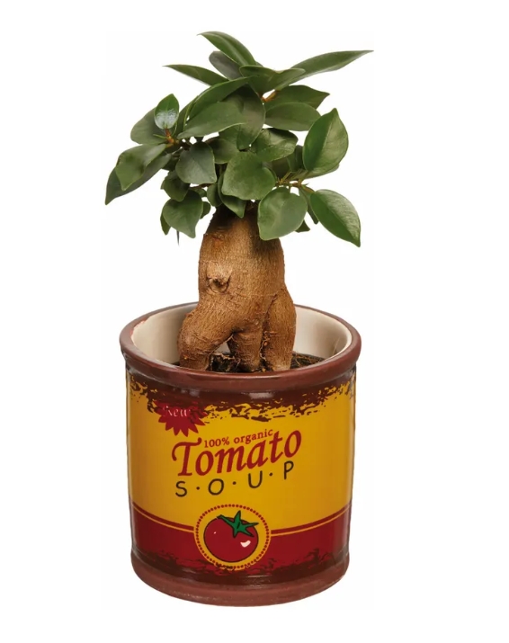 Lidl launches autumn home collection: what new items await shoppers - all  the latest news today  112.ua