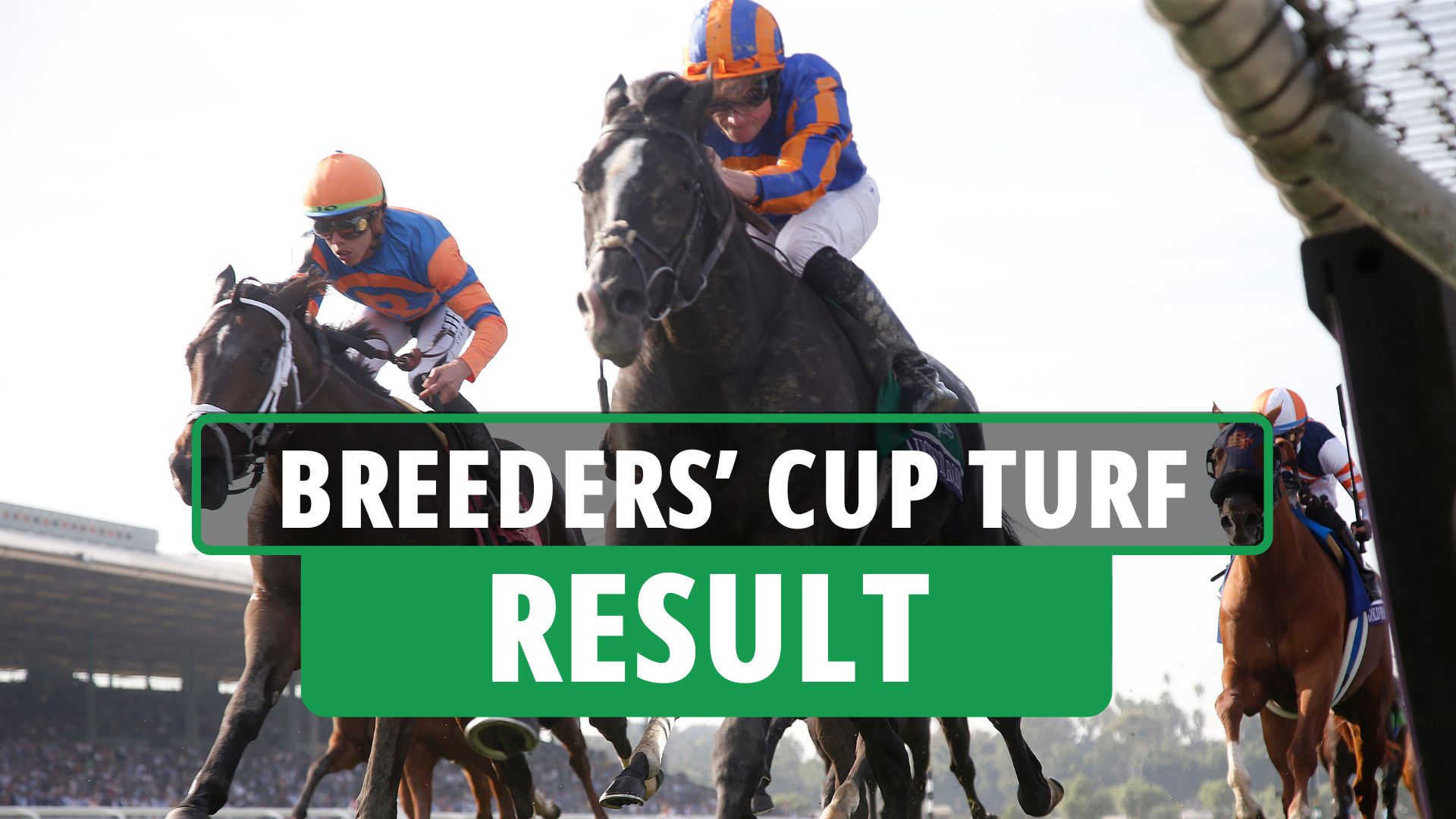 Спринт за $5 мільйонів: хто переміг на Breeders' Cup Turf