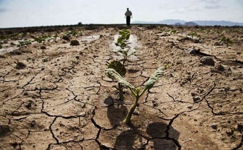 Ukraine on the Brink of Environmental Catastrophe: Threat of Crop and Water Loss