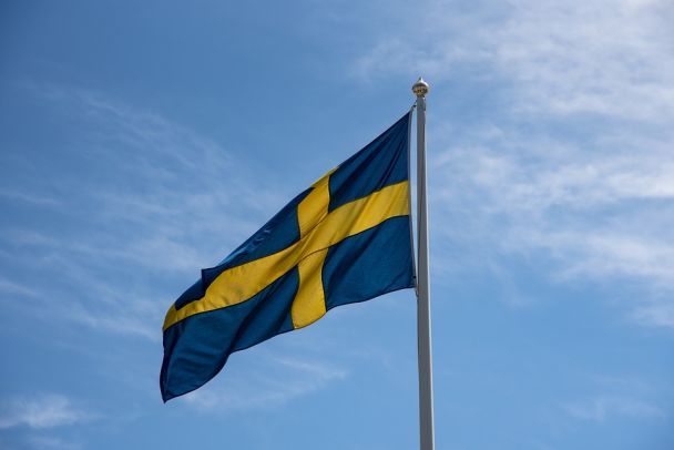 Шведські системи ППО для України