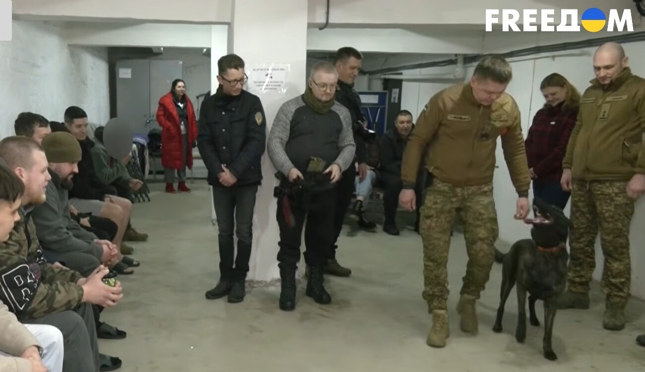 Psy-terapeuci z elitarnej jednostki. Jak czworonożni mistrzowie wspierają rannych żołnierzy