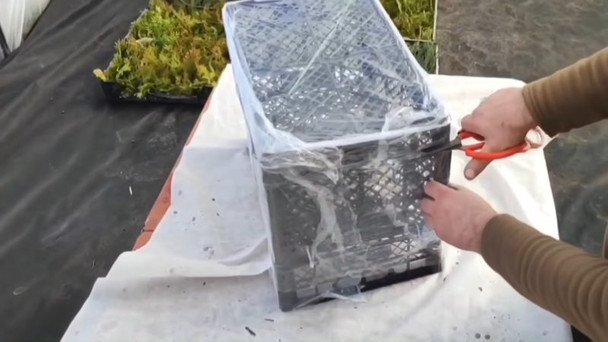 Przenośna szklarnia w pół godziny: instrukcja z plastikowych skrzynek