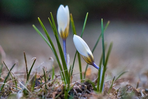 Prognoza pogody na weekend od synoptyczki Didenko: gdzie będzie ciepło, a gdzie możliwe opady