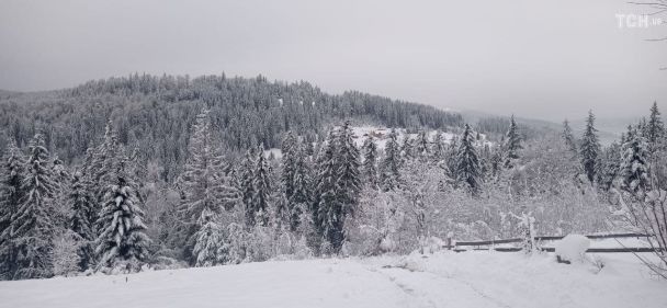 Аномальные холода и ранняя оттепель