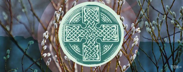 Horoskop na 5-11 stycznia: jak znaleźć swój celtycki symbol drzewa dla sukcesu