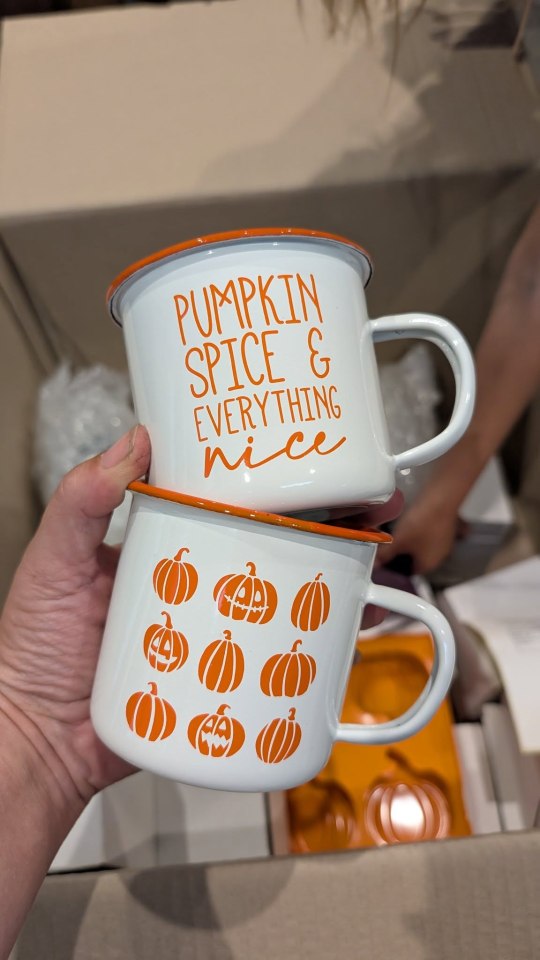 Poundland is selling autumn mugs for 50p: why shoppers are in shock