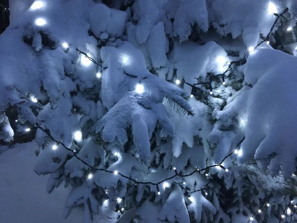 Ukrainę na Nowy Rok przykryje mróz do -19°: synoptyk podał daty