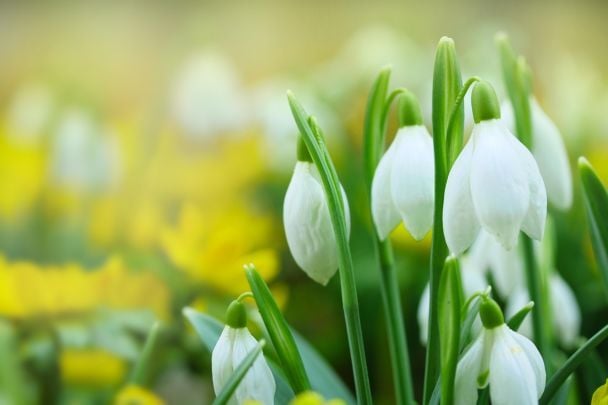 Weekend Weather Outlook: Temperatures to Reach 13°C on Sunday, March 8th