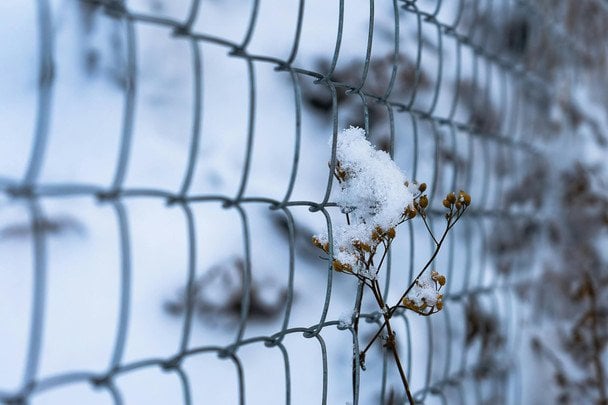 8 grudnia: Kyryło i Anfisa obchodzą Dzień Anioła — znaczenie imion i życzenia