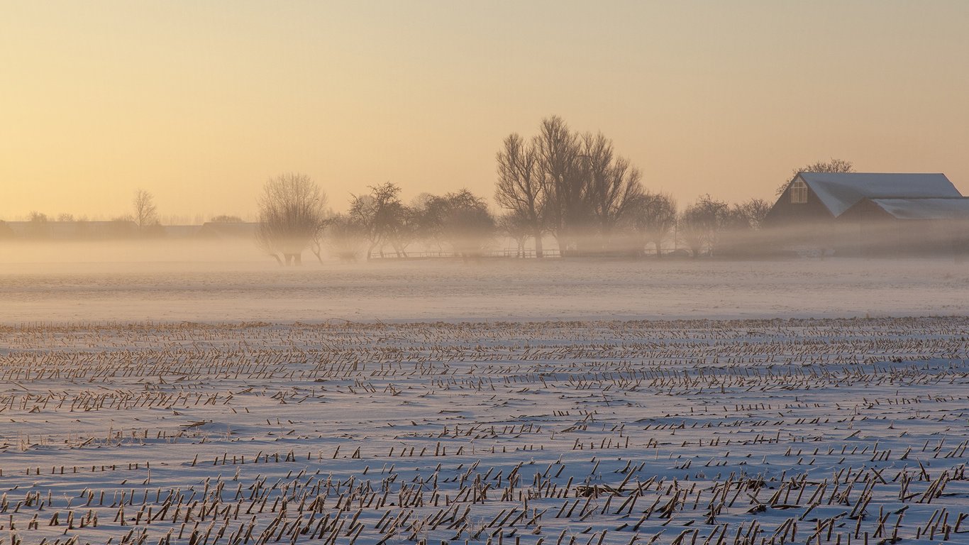 Бесплатные земельные участки для украинцев