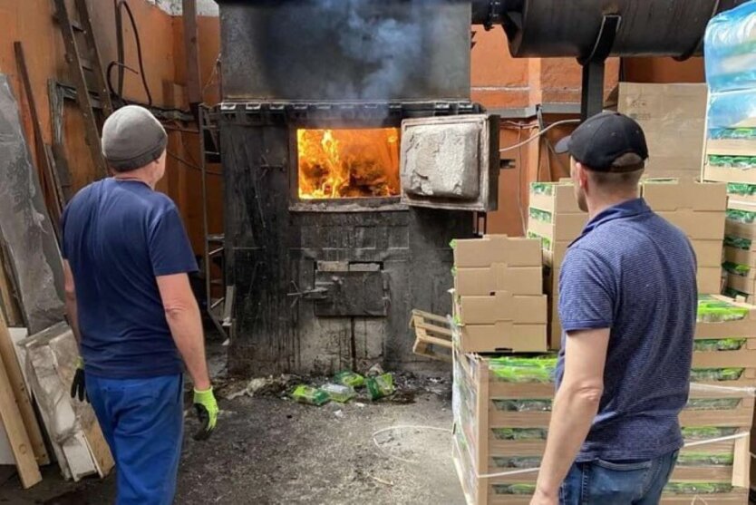 In Ukraine, infected lettuce was brought in: dangerous not only for people