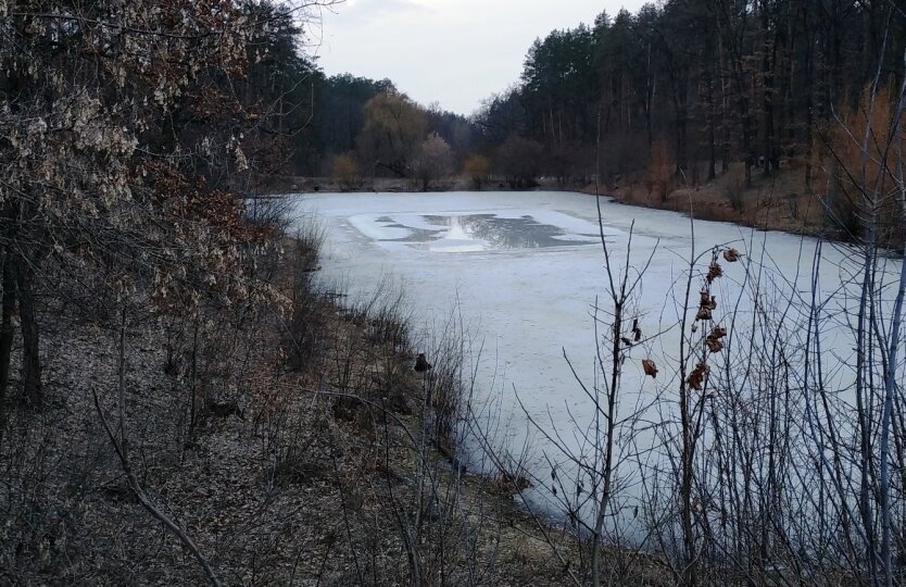 Морози до -12 зміняться потеплінням