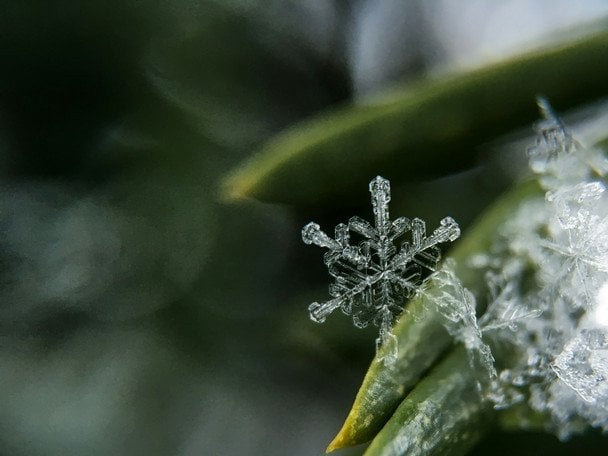 21 grudnia obchodzimy imieniny 7 świętych: jakie imiona i ich znaczenie