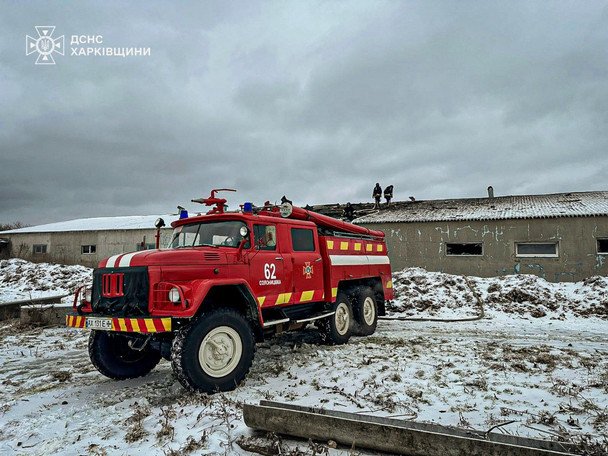 Удар по ферме в Харьковской области: погибли десятки животных, есть раненый
