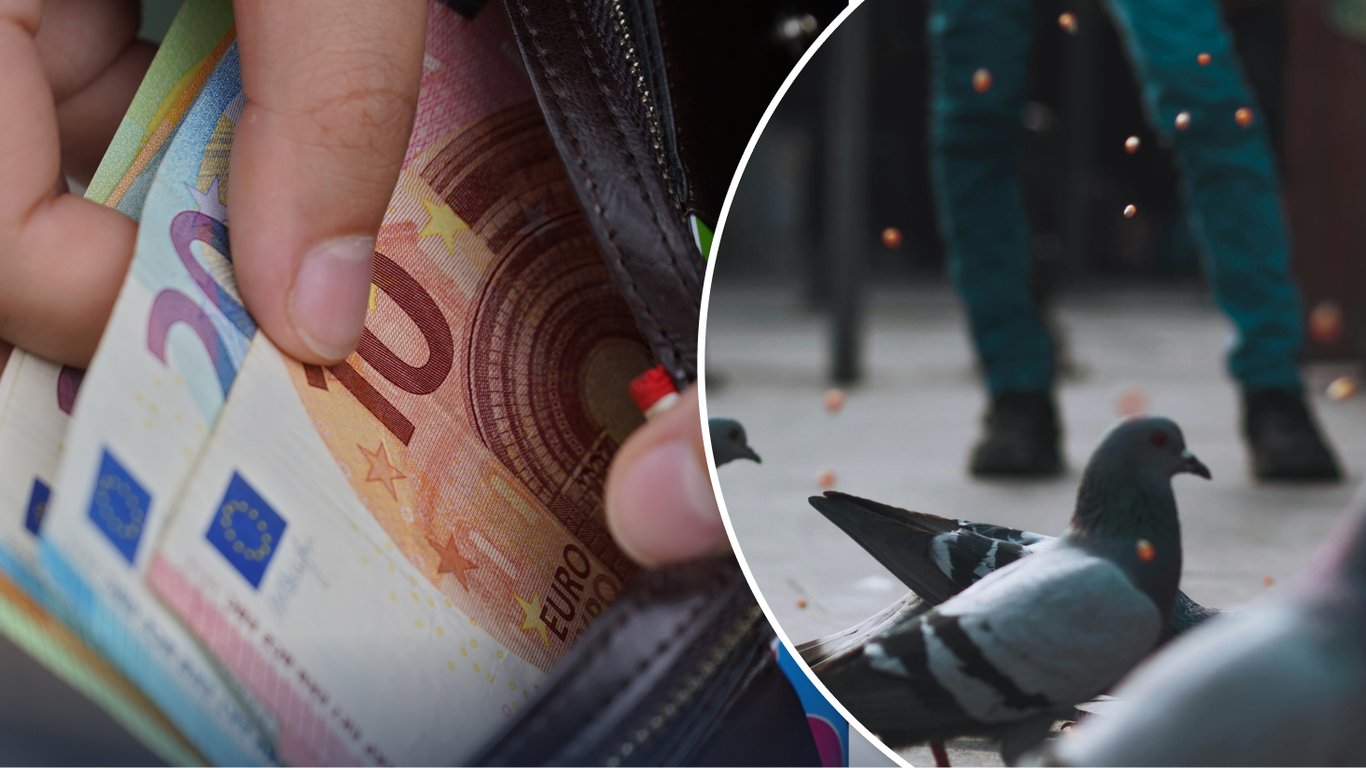 Niemieckie miasta walczą z gołębiami: gdzie za dokarmianie grożą wysokie kary