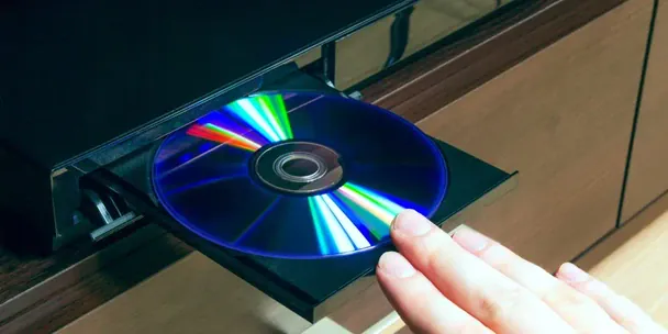 Ochrona zimowego ogrodu: jak stare płyty CD odstraszają ptaki
