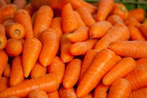 Jak przechowywać marchew do wiosny: 5 najwydajniejszych odmian do piwnicy