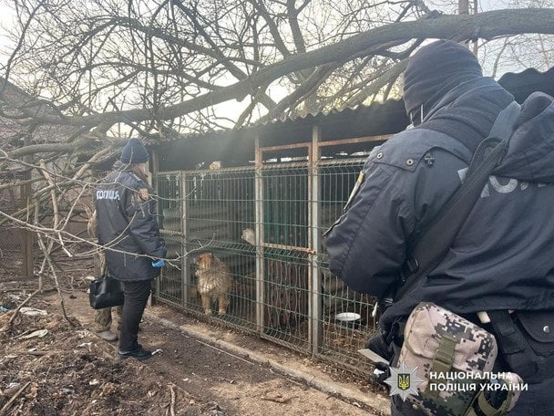 Поліція вилучає собак в Ізмаїлі