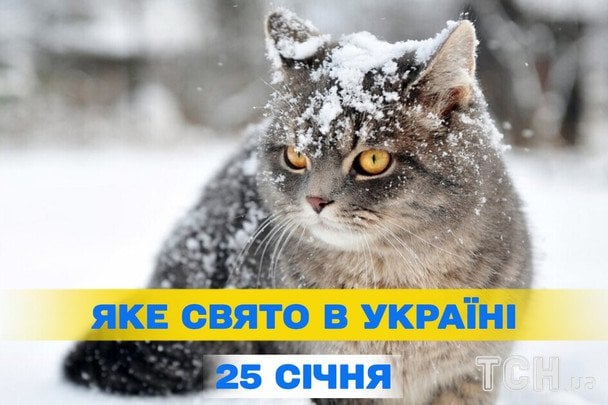День без інтернету та погода