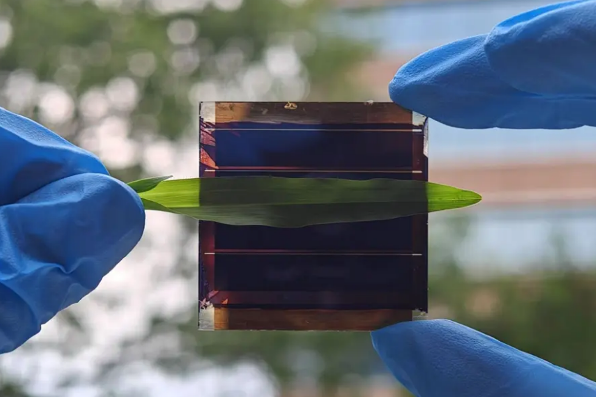 Solar elements: shading and -40 V