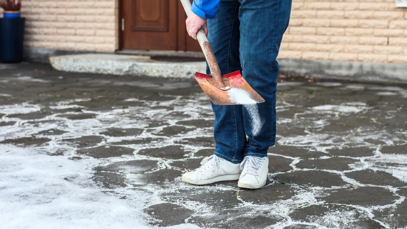 Ochrona ogrodu przed skutkami soli drogowej: praktyczne porady