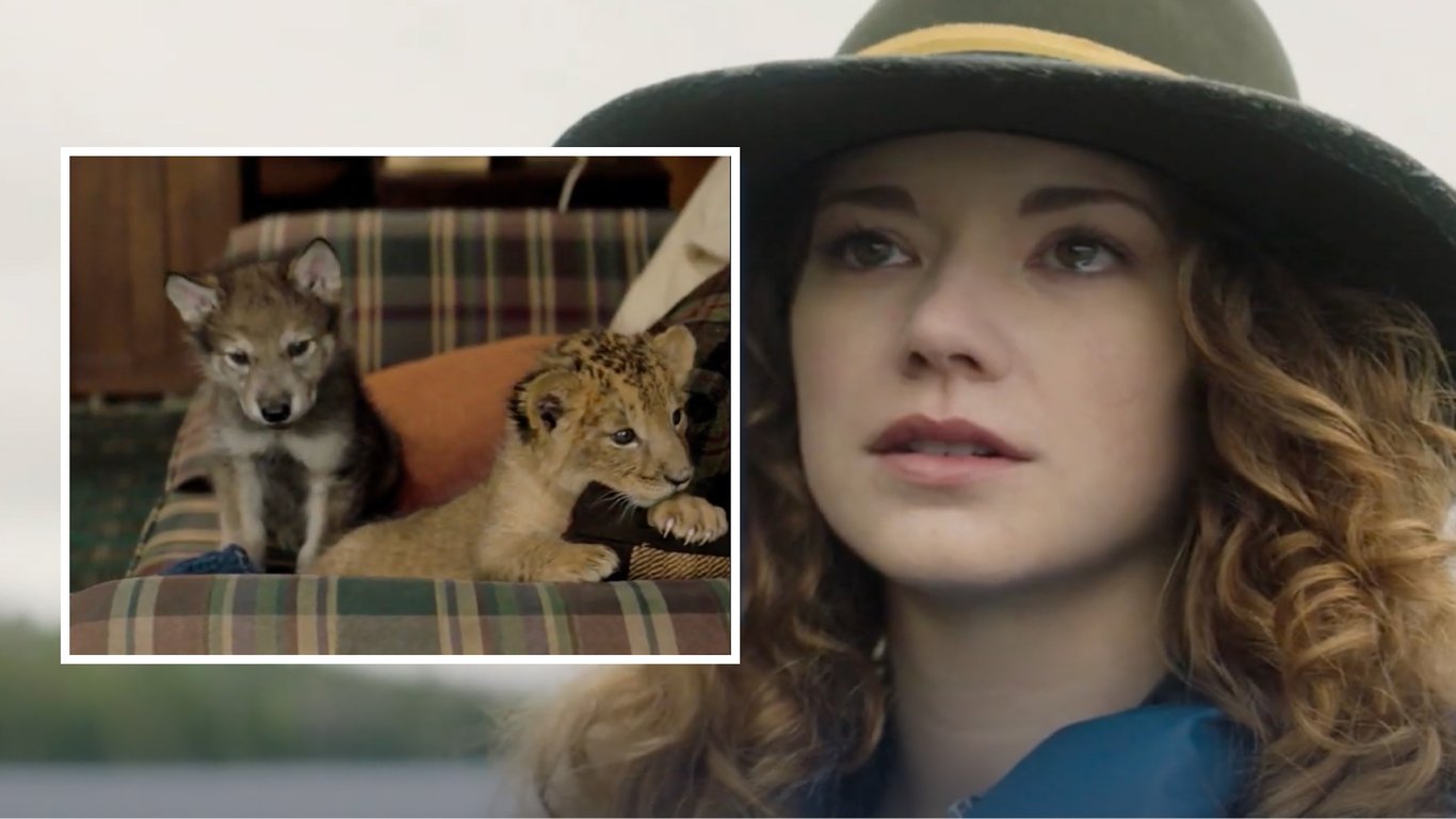 Vier tierische Filmhighlights für die ganze Familie – herzerwärmende Geschichten, die begeistern