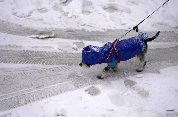 Anomalnie ciepły grudzień na Ukrainie: meteorolodzy wyjaśnili przyczyny i prognozy na tydzień