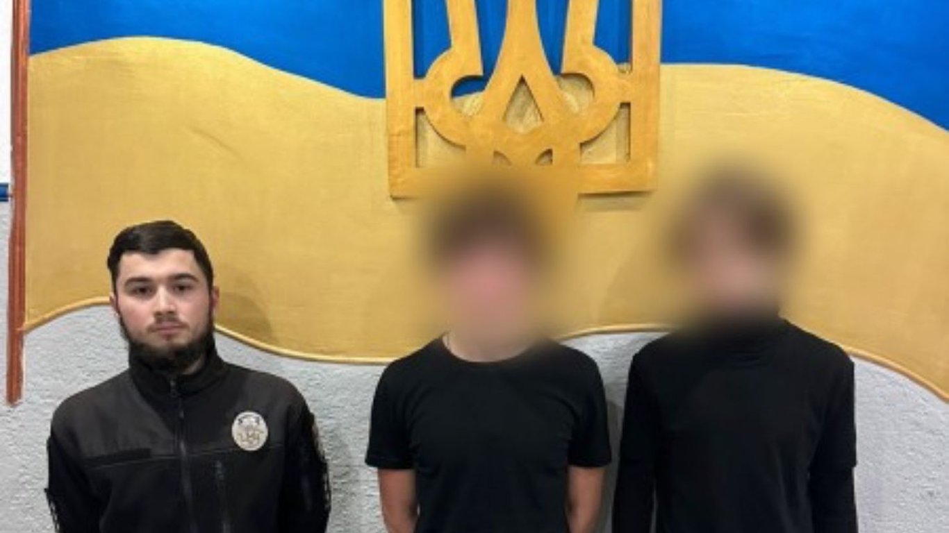 Правоохоронці розслідують насильство над котом