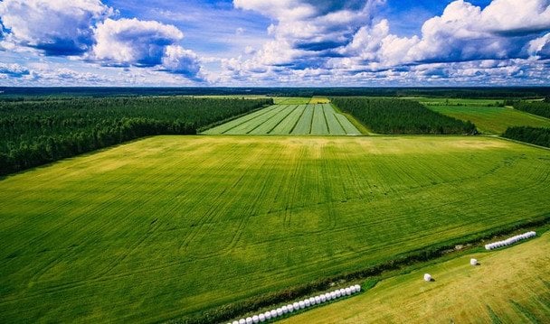 Освобождение от земельного налога
