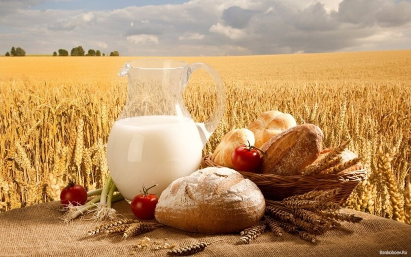 Prices for products in June: where to buy oil, bread, and milk cheaper