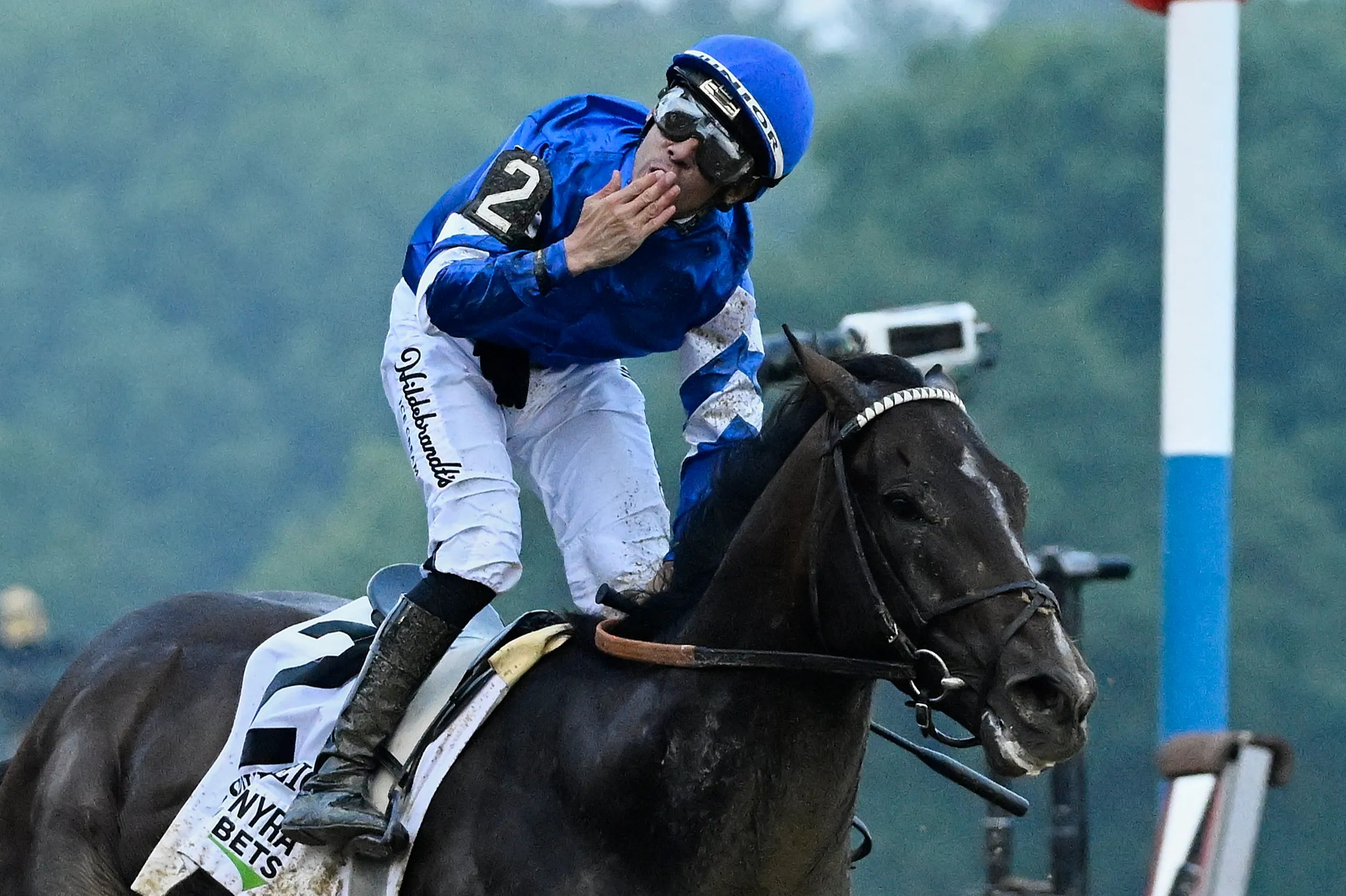 Завершено улюбленця Breeders' Cup Sovereignty: що сталося з фаворитом