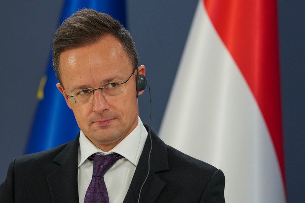 Затримання нелегального перевізника угорцем