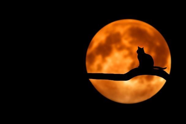Ostatni superksiężyc 2025: cztery znaki zodiaku odczują znaczące zmiany