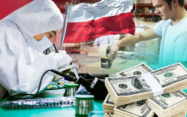 80% Ukraińców w Polsce pracuje: dlaczego bez nich gospodarka ponosi straty