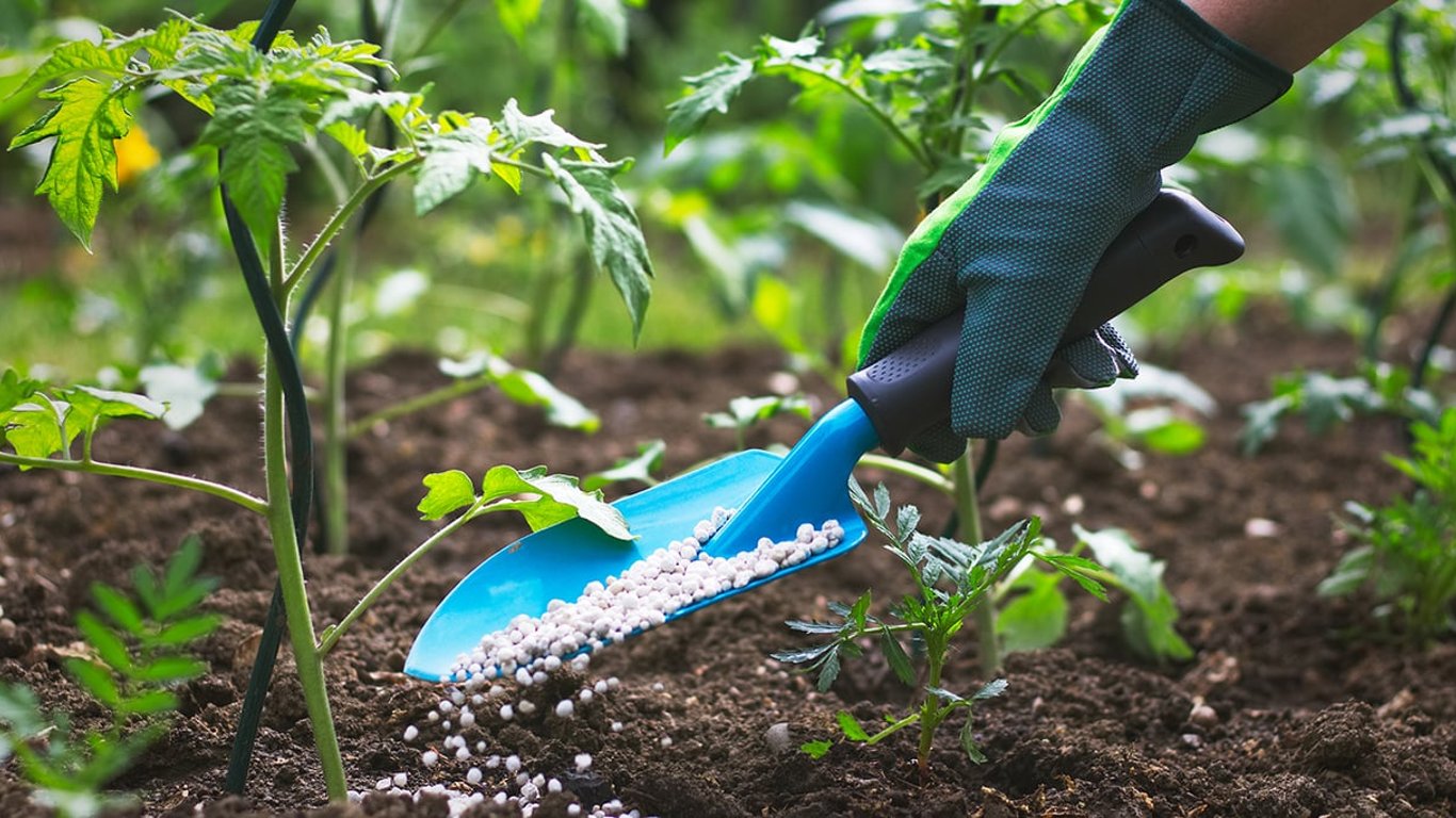 Азотні, фосфорні та калійні добрива