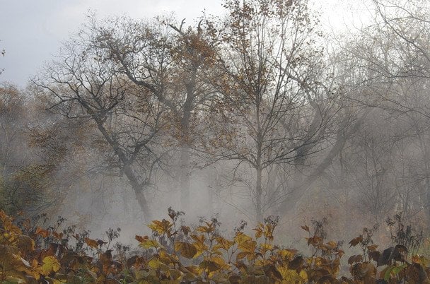Anomalne ciepło na Ukrainie: Dniepropietrowsk ustanowił rekord temperatury wody