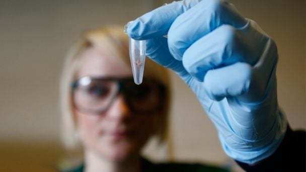 Test DNA ujawnił pomyłkę w szpitalu: dziewczyna otrzymała milionowe odszkodowanie
