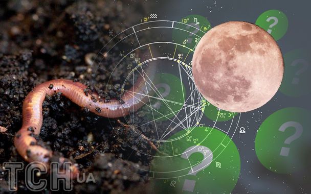 Pełnia Księżyca z zaćmieniem 3 marca 2026: poradnik dla znaków zodiaku