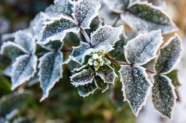 18 stycznia: lista solenizantów i pomysły na życzenia