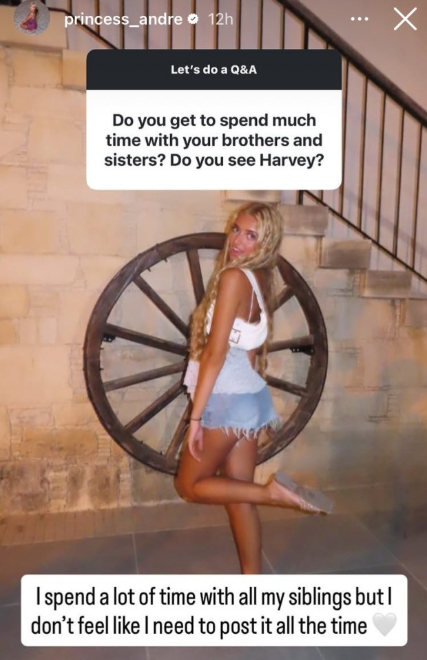 Katy Price and Peter Andre's Daughter Talks About Her Relationships with Siblings