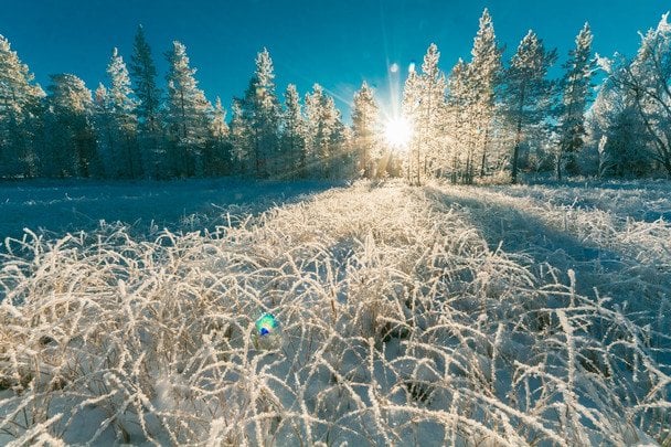 Zimowe ochłodzenie na Ukrainie: meteorolodzy prognozują mróz bez opadów