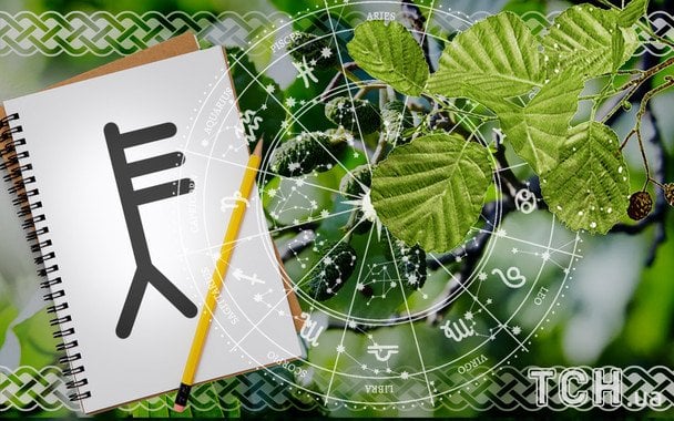 Celtycki horoskop na 31 grudnia: jak poprawnie zakończyć rok dla twojego znaku