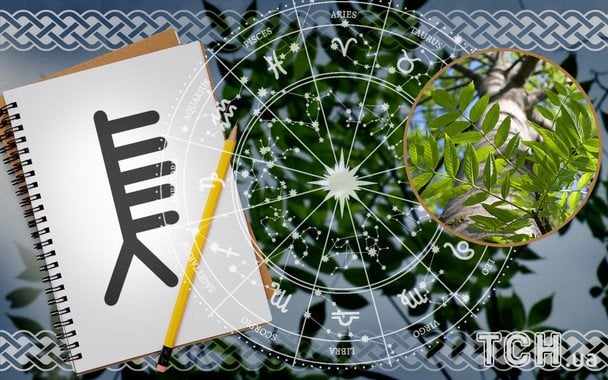 Horoskop na 7 stycznia: Drzewa celtyckie sugerują skupienie się na dialogu i ustaleniach