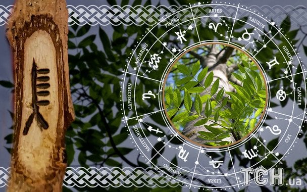 Celtycki horoskop na 1 stycznia 2026 roku: jakie drzewo-patron twojego znaku