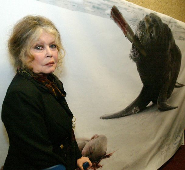Brigitte Bardot Tribute Met with Boos and 'Racist' Chants at César Awards