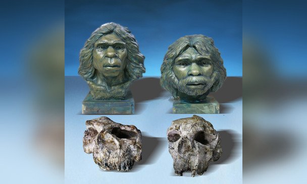 Відкриття Homo erectus в Азії
