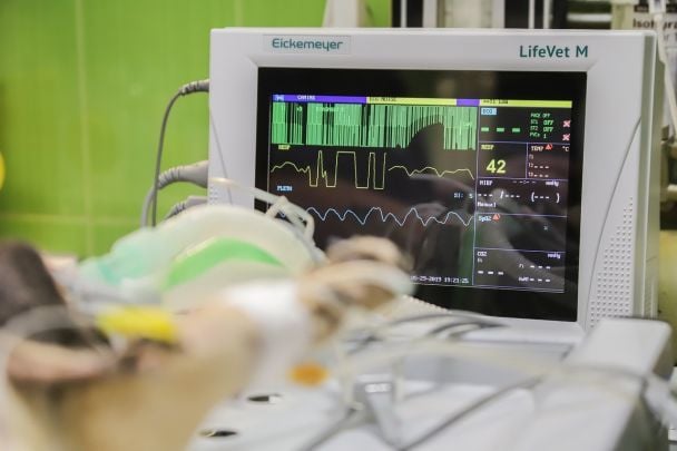 Śmierć zmobilizowanego na zapalenie płuc: stanowisko pułku „Skała” i szczegóły sprawy