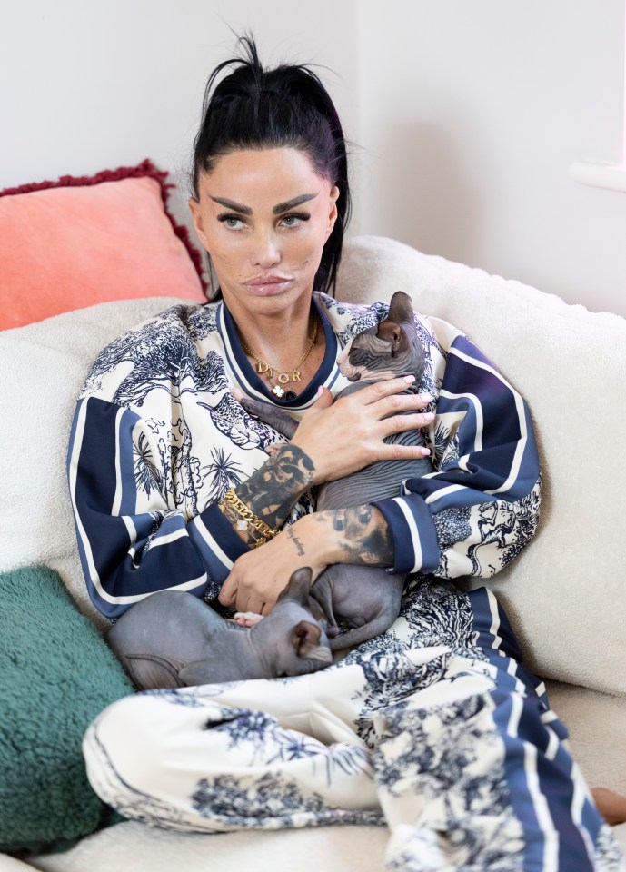 Katie Price vs four exes: what led to a new legal battle